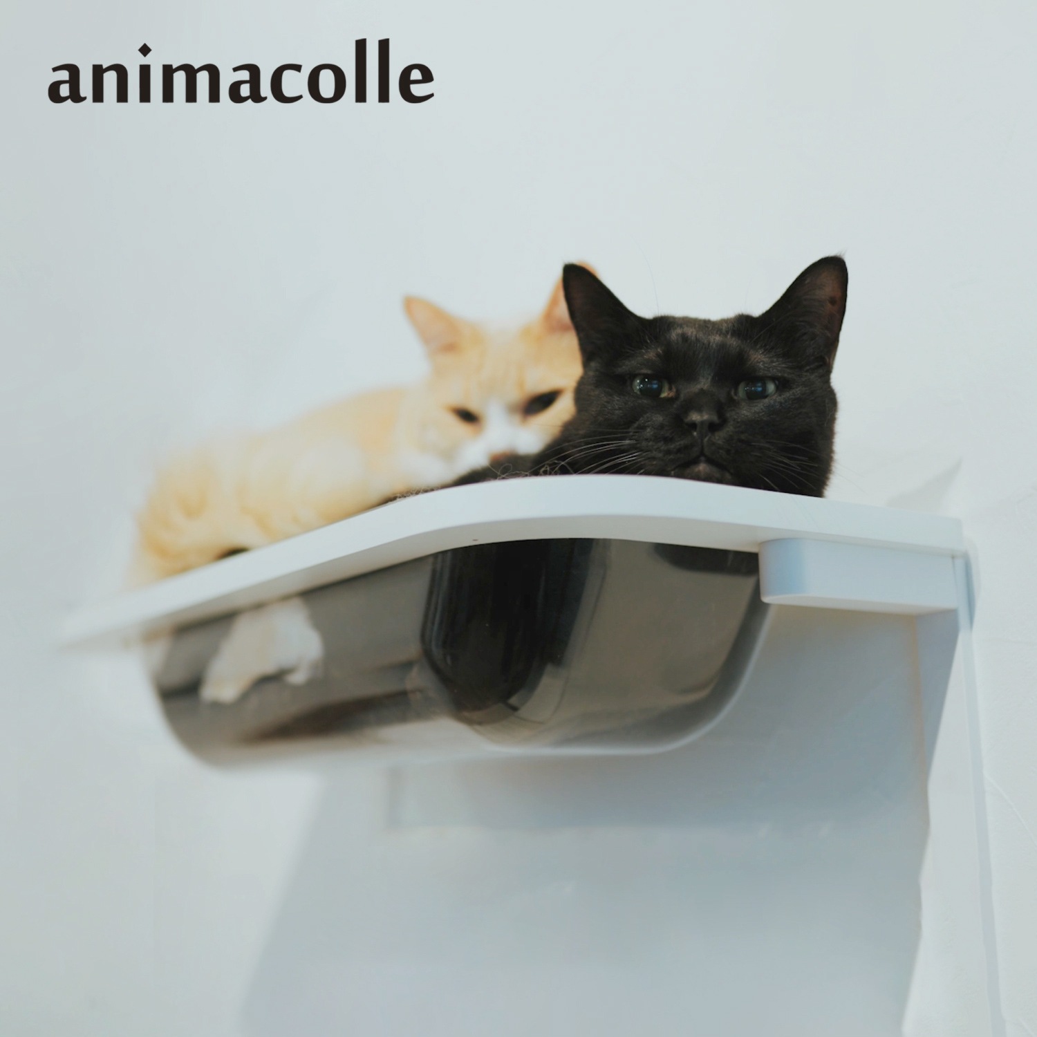 キャットステップ キャットタワー キャットバス 日本製 安全 壁付け 棚板 足場 猫 ねこ コンパクト クリア 700032