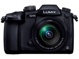 LUMIX DC-GH5M 標準ズームレンズキット