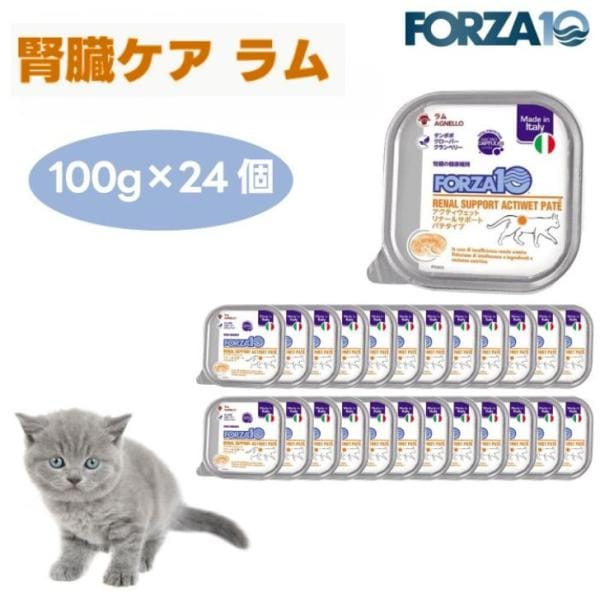 Forza10 アクティウェット リナールサポート 腎臓ケア ラム パテタイプ 100gx24個 キャットフード 猫 餌 療養食 フォルツァ10 7,814円
