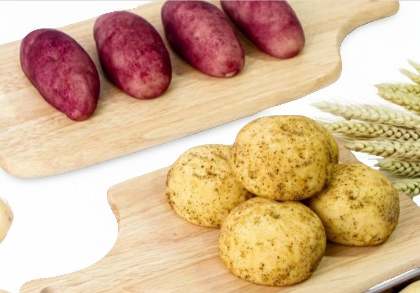 ゴグマパン カムジャパンパン 手作りパン ベーカリー さつまいもパン スイーツ じゃがいもパン じゃがいもスイーツ じゃがいもベーカリー さつまいもデザート 韓国パン