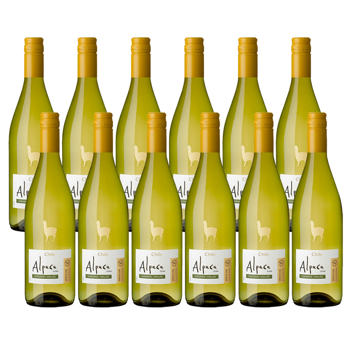 【送料無料】サンタヘレナ アルパカ シャルドネ セミヨン 750ml×12本 【北海道沖縄県東北四国九州地方は必ず送料が掛かります】