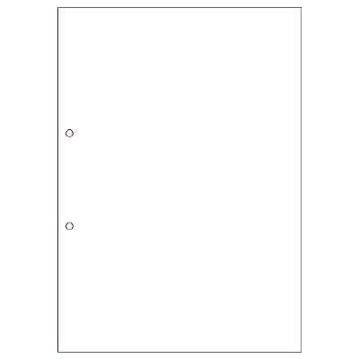 （まとめ買い）ヒサゴ マルチプリンタ帳票（エコノミープライス）A4 白紙 2穴 2500枚 BPE2001 [x2]