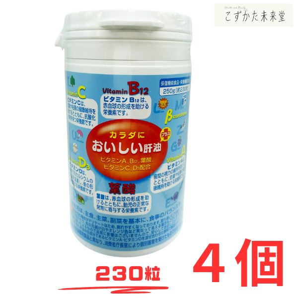 富山めぐみ製薬 カラダに おいしい肝油 プラス 230粒×4個セット ビタミンA・C・D・B12・葉酸配合 6,670円