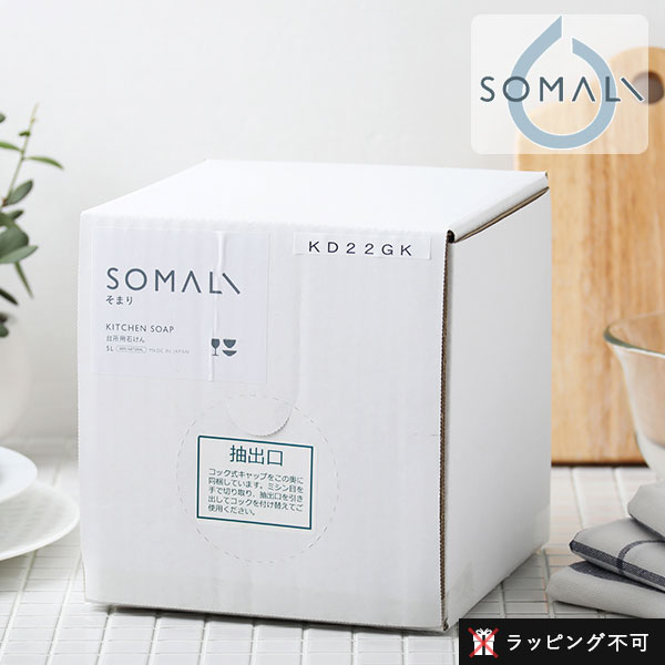 木村石鹸 SOMALI 台所用石けん 5000ml 詰替用 敏感肌 食器用洗剤 台所 台所用洗剤 洗剤 保湿 天然素材 植物由来成分 ナチュラル