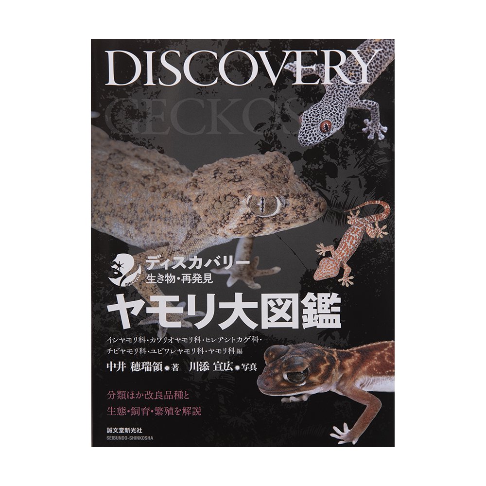 ディスカバリー生き物・再発見　ヤモリ大図鑑　ＣＲＣ17―95―17―00―00