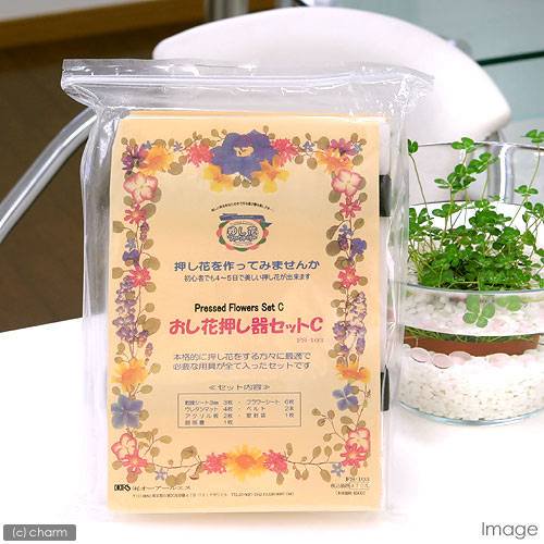 押し花押し器セットＣ　ＣＲＣ90―52―30―00―00