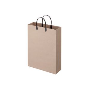 （まとめ） TANOSEE ラミネートクラフトバッグ 大 ヨコ320×タテ440×マチ幅110mm 黒 1パック（10枚） (×3セット)