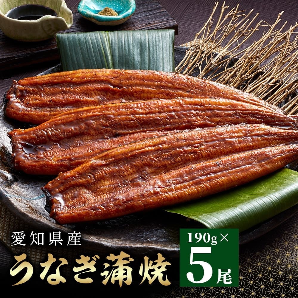 愛知県産うなぎ蒲焼 約190g×5尾入 タレ・山椒付鰻 うなぎ 魚 蒲焼き
