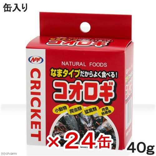 コオロギ　ＮＰＦ　コオロギ（缶入り）　４０ｇX２４缶　両生類・爬虫類　ハリネズミ　フード　餌　エサ　缶詰　ＣＲＣ17―20―55―20―00