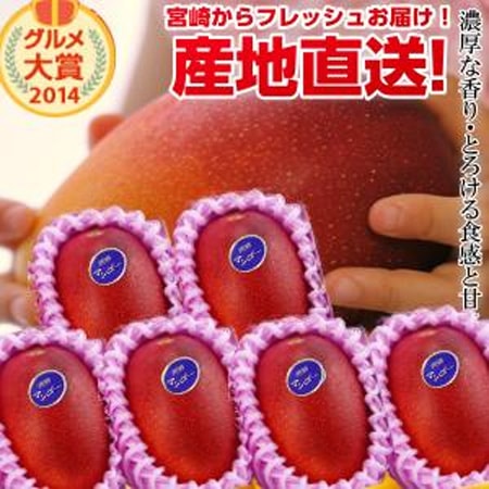 特大宮崎完熟マンゴー 特大玉6玉 宮崎からお届けする南国の香り・とろける美味しさがいっぱいの完熟マンゴー地元宮崎だからこそできる鮮度＆産直でお届け お中元 青果物 フルーツギフト 父の日