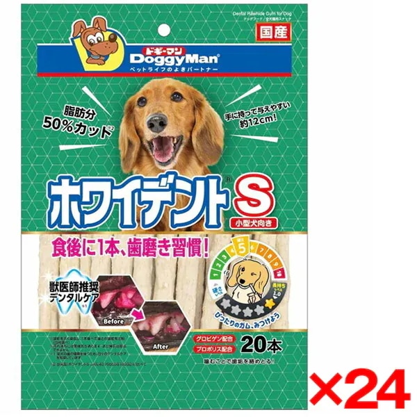24個セット ホワイデントS20本 メーカー直送