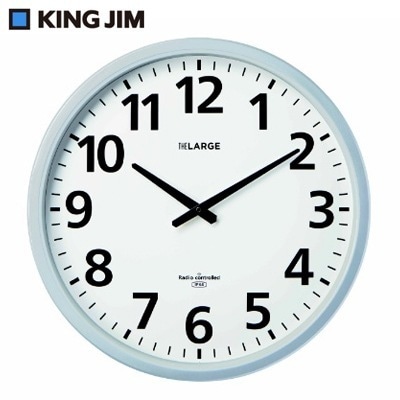 キングジム 電波掛け時計 ザラージ 省電力 防滴型 アナログ GDKB-001 ホワイト KINGJIM