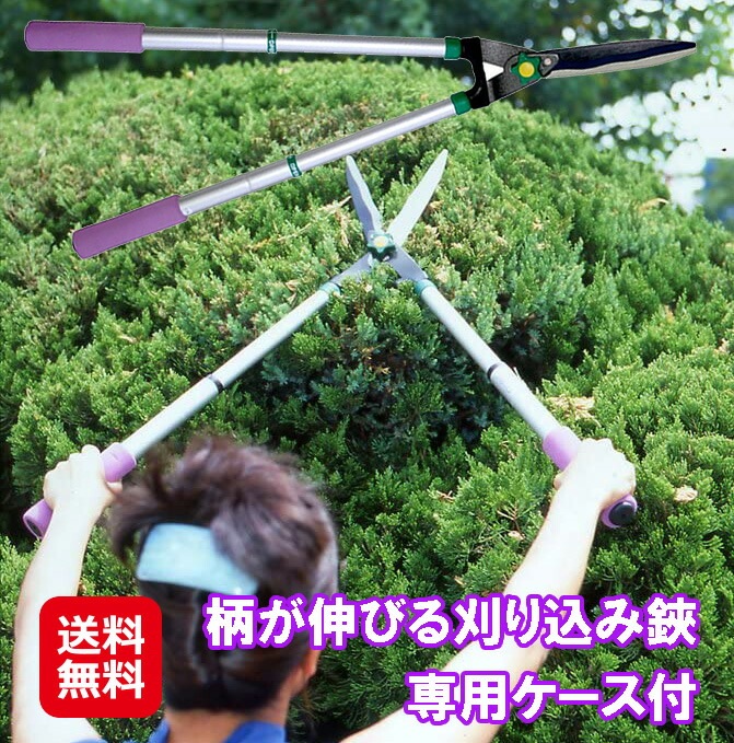 柄が伸びる刈り込み鋏専用ケース付 刈込鋏 軽量 強力 伸縮式 フッ素樹脂加工 剪定鋏 枝切り鋏 MAC 刈り込み鋏 枝切り バサミ 伸縮 全長6182