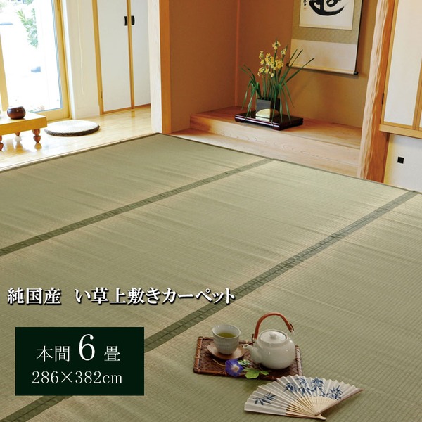 日本製 い草 上敷き/ラグマット (双目織 本間6畳 約286×382cm) 抗菌 防臭 調湿機能付き 草津 (リビング)