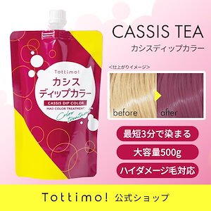 Tottimo! ディップカラー カシス / カラートリートメント / 500g / カラーバター