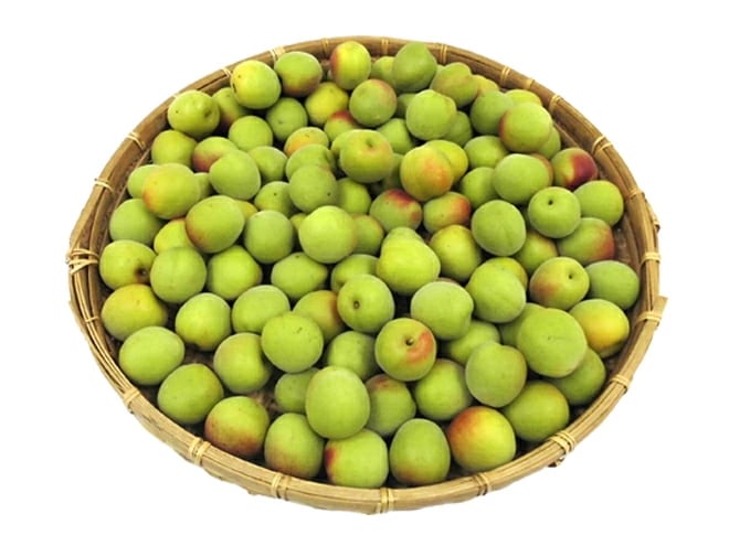 奈良/和歌山産 =南高梅= ちょっと訳あり 超大粒3L/4L 約5kg 予約 6月初旬以降
