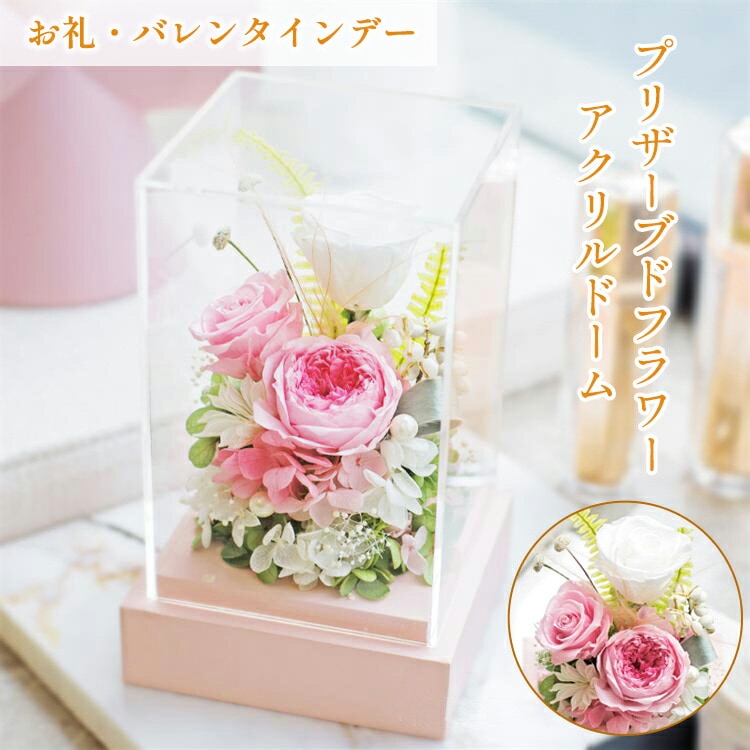 プリザーブドフラワー バラ フラワー ローズ アクリルドーム ブリザードフラワー ブリザード プリザ