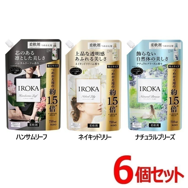 【6個セット】IROKA ハンサムリーフの香り スパウト つめかえ用 710ml (D) メガ割