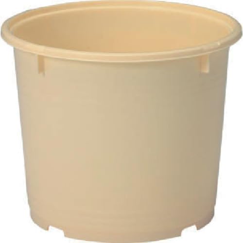 漬物タル Mタル 10個セット 401002-00 10K-4 クリーム