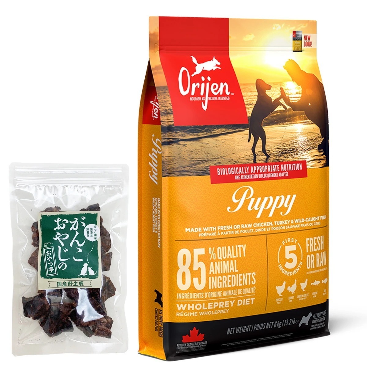 パピー 6kg【国産鹿ラング15g付き】