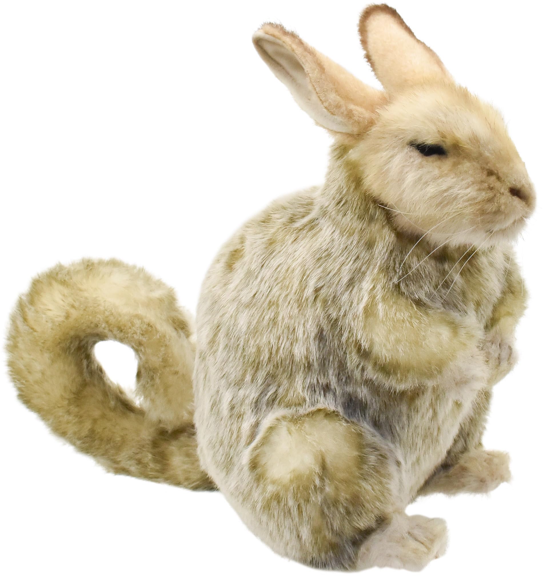 BH8144 ハンサ (HANSA) ﾋﾞｽｶｯﾁｬ 32