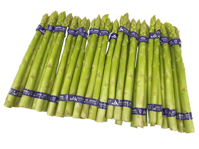 =グリーンアスパラガス= 45-75本前後 約1.5kg 産地厳選 予約 3月末以降