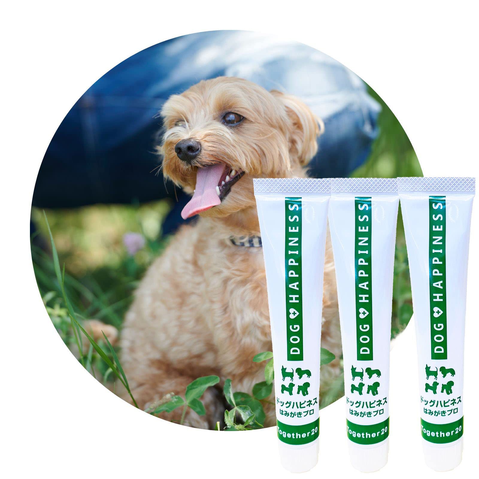 ドッグハピネスはみがきプロ 3本セット 犬 歯磨き 歯磨き粉 歯磨きジェル 口臭 口臭ケア 歯石 歯垢 歯周病