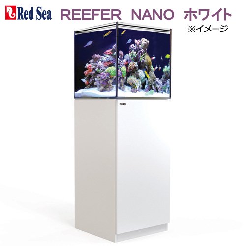 オーバーフロー水槽　レッドシー　ＲＥＥＦＥＲ　ＮＡＮＯ　ホワイト　３個口　４５ｃｍ水槽　ＣＲＣ10―35―11―05―20