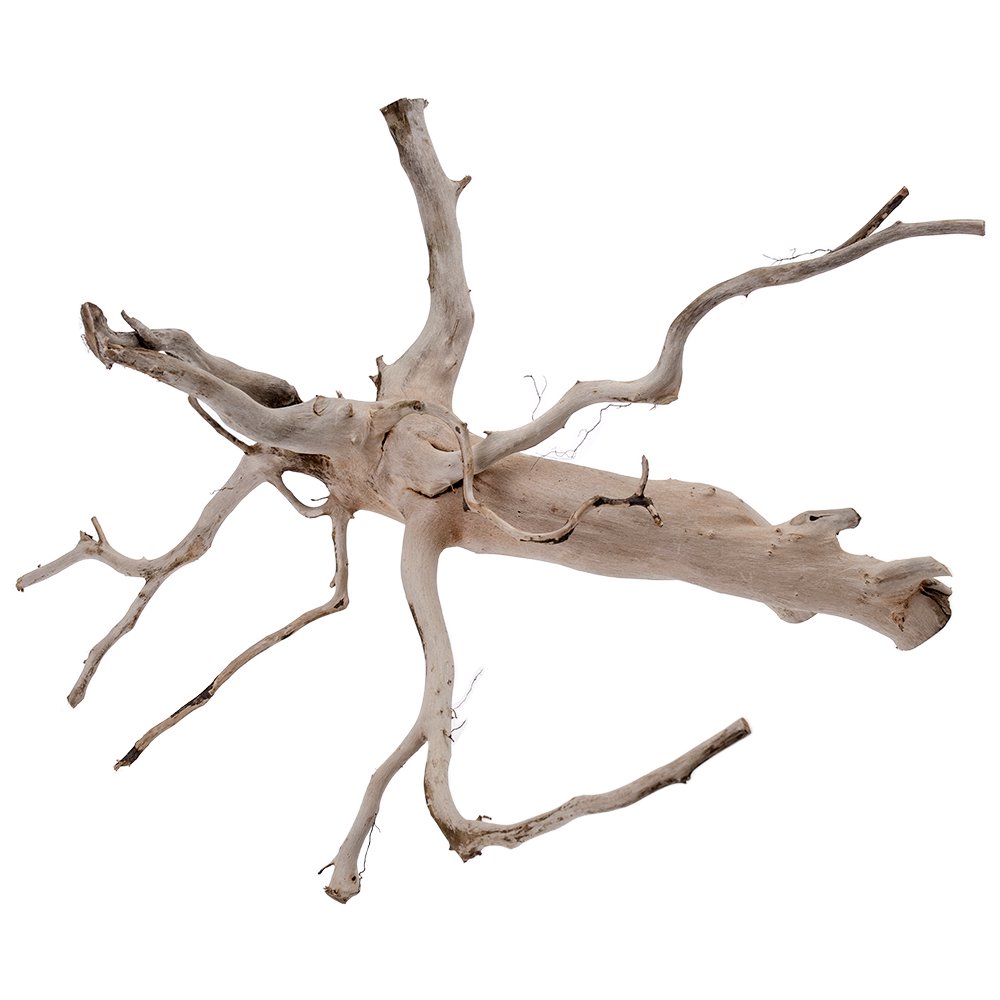 カミハタ　タイ産天然流木　ブランチウッド　Ｌ　約４８X３８X３８ｃｍ　アクアリウム　テラリウム　パルダリウム　水槽　ＣＲＣ10―85―10―00―00