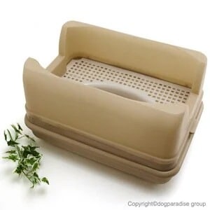 オーカッツ キャットワレ ナチュラルベージュ