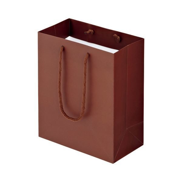 （まとめ） TANOSEE マットコート手提げ袋 S ヨコ220タテ260マチ幅120mm ブラウン 1パック（10枚） 4セット 8,872円