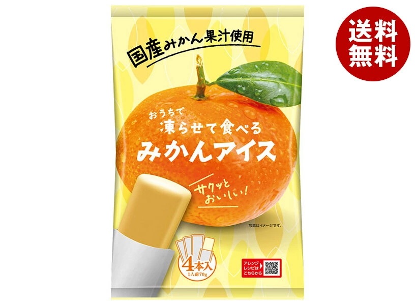 谷尾食糧工業 凍らせて食べる 国産 みかんアイス (70g×4)×12袋入×(2ケース)