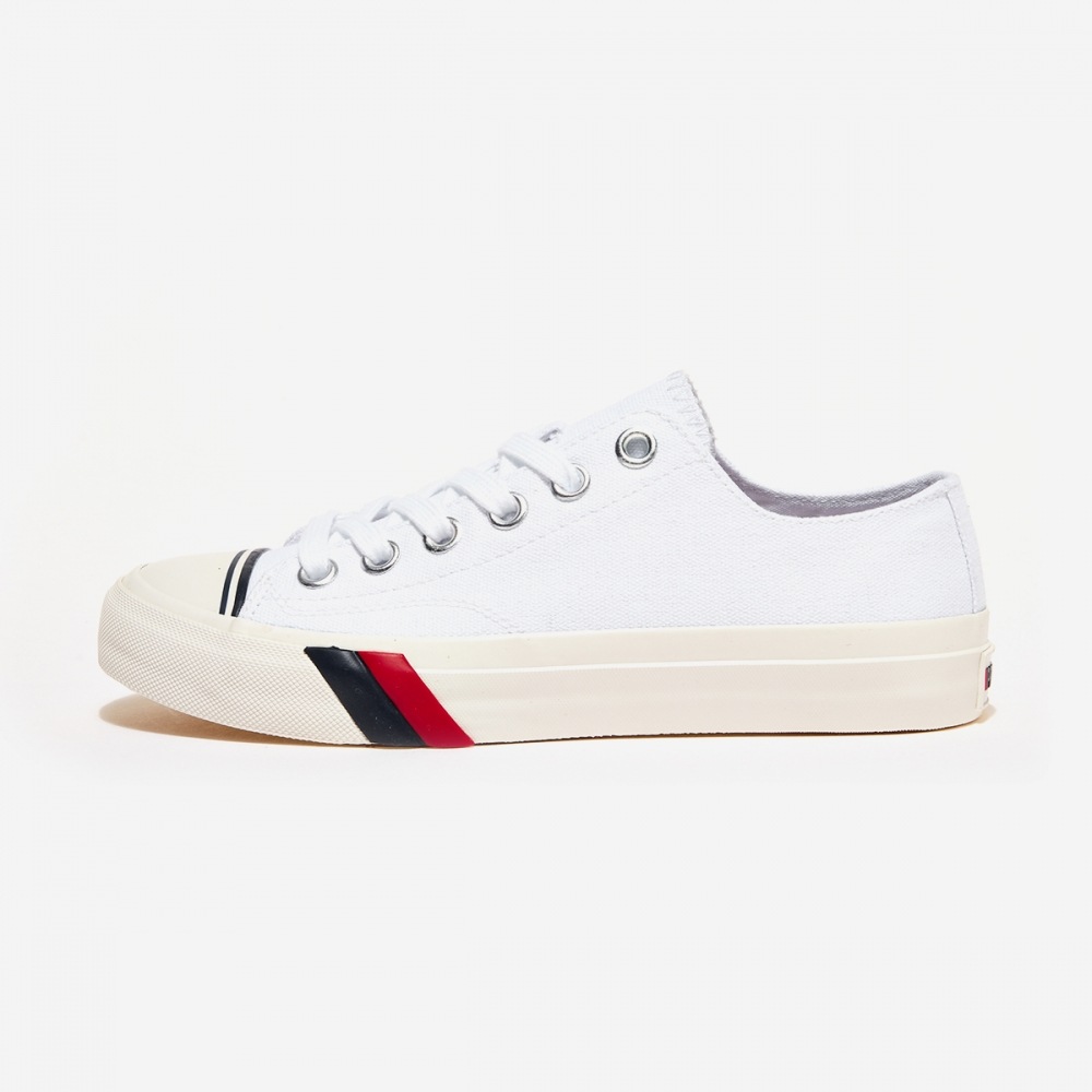 ケズロイヤルローキャンバス(100)