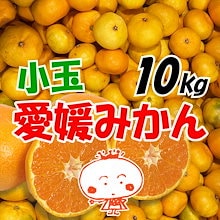 小玉みかん　10kg　訳あり品　小玉　愛媛みかん　 みかん　愛媛　小さめ