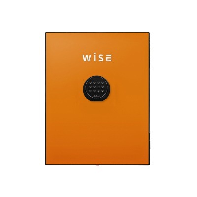ディプロマット デジタルテンキー式 デザイン 金庫 (WiSE) 用フェイスパネル 内容量5Kg WS500FPO オレンジ