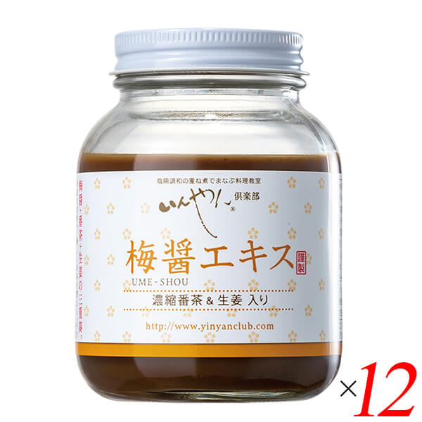 梅醤エキス 濃縮番茶＆生姜入り 250g 12個セット いんやん倶楽部
