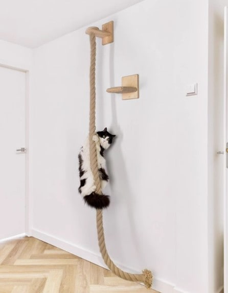 猫用品 ペット用品 キャットタワー 猫ツナ 猫綱 猫ロープ 猫おもちゃ ペット用縄 1.5メートル 2メートル 階段付き ネジ付き ストレス解消 ガラス壁吸着