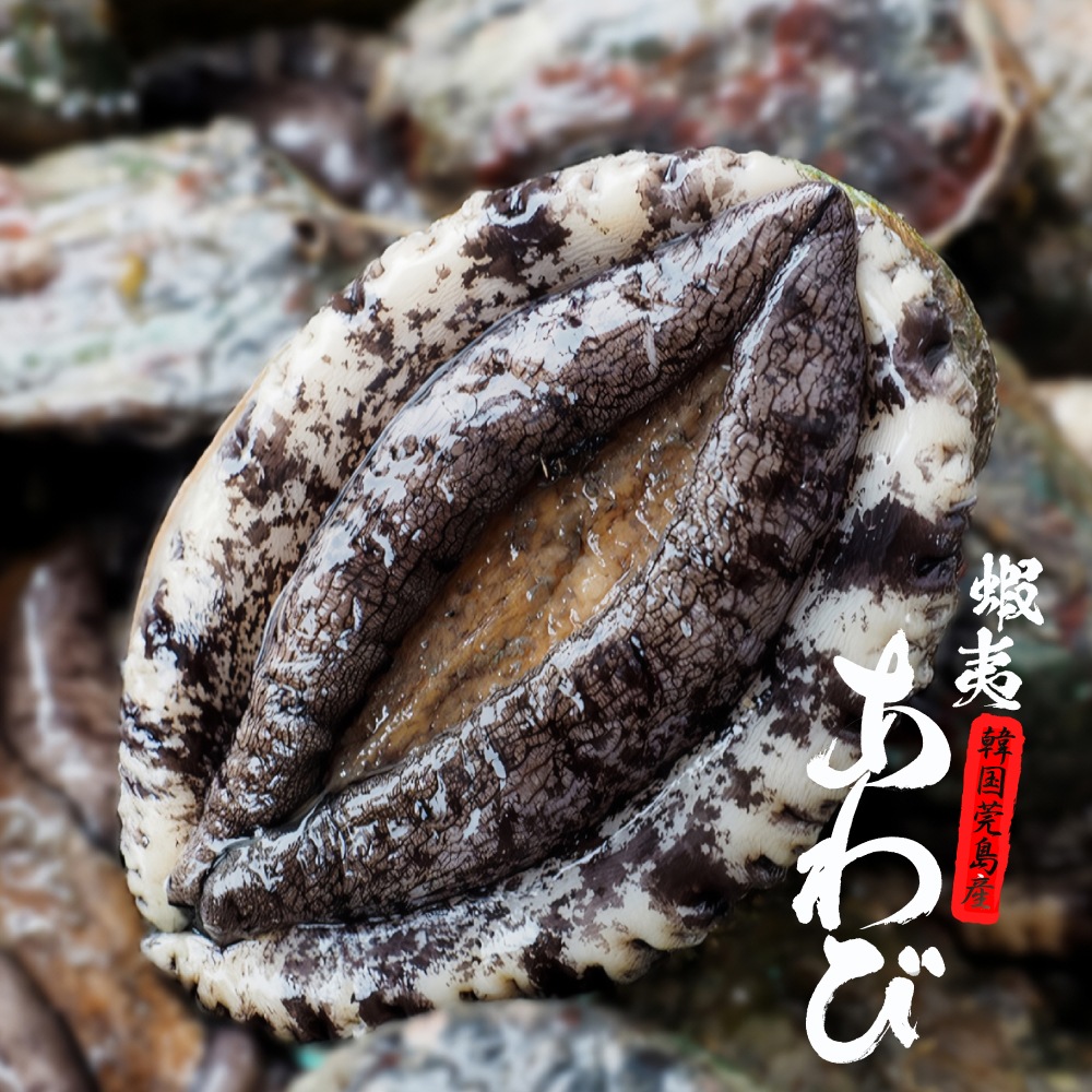 活あわび(70-80gサイズ) 10個 【冷蔵】 アワビ 鮑 バーベキュー 刺身 焼きあわび 蒸しあわび 炊き込みごはん 海鮮 プレゼント 贈答 贈り物 鮮魚 詰め合わせ 宝や 蝦夷あわび アワビ