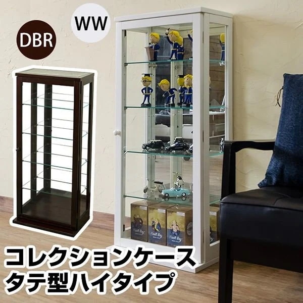 コレクションボックス 整理用品 小物入れ インテリア雑貨 家具 インテリア コレクションケース WW収納ボックス
