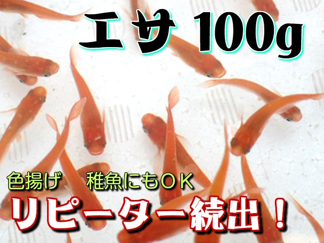 Qoo10] １００ｇ／メダカの餌 めだかのエサ 色揚 : ペット