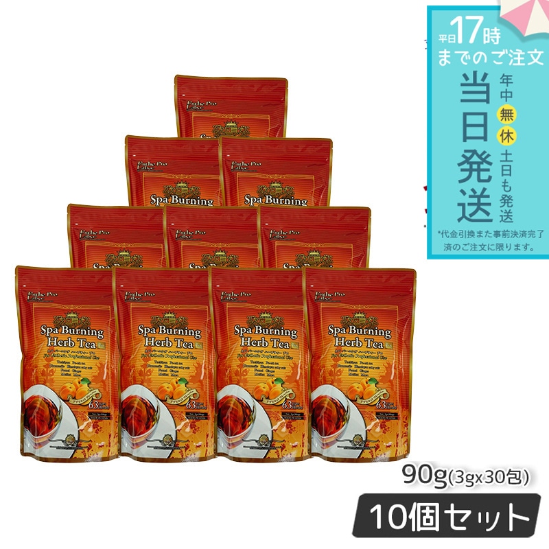 エステプロラボ スパ バーニング ハーブティー プロ 3g×30 10個セット Esthe Pro Labo ハーブティ ハーブティープロ ダイエット ダイエット茶 オーガニック代謝系