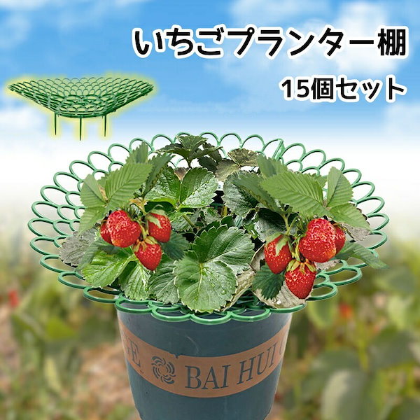 Qoo10] イチゴ棚 いちごプランター棚 15個セッ