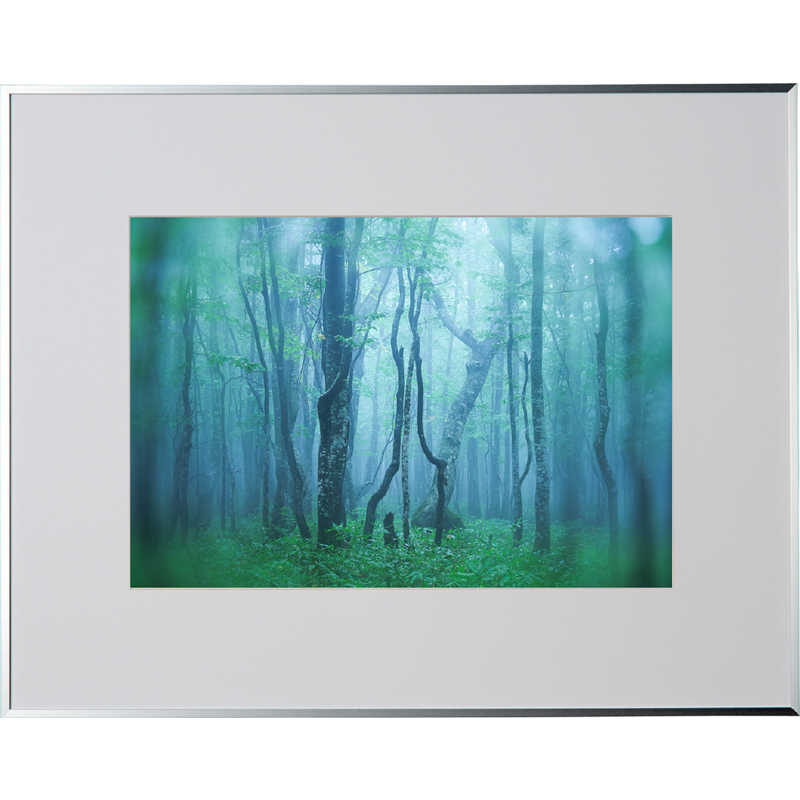 ケンコー　ギャラリー ワイド四切 シルバー　AGY-W4-SV