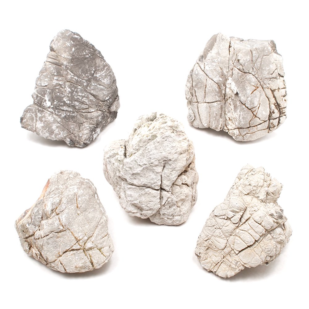 形状お任せ 裂罅石 Mサイズ(約13ー18cm) 5個 アクアリウム レイアウト素材 CRC21―20―99―10―00