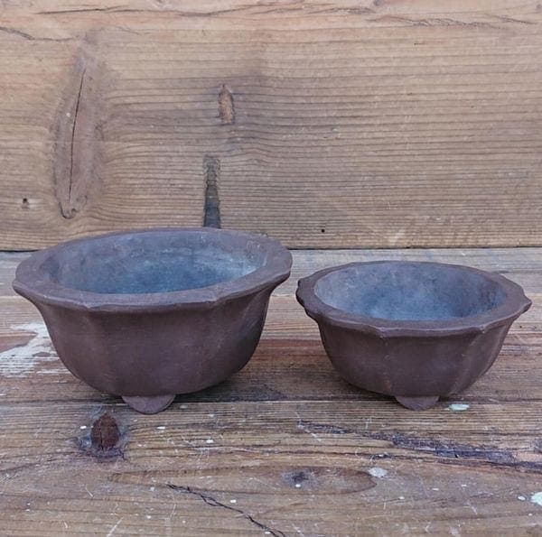 鉢（一般） 鉢 プランター ガーデニング 園芸用品 花 朱泥 植木鉢 平丸輪花 大小2点セット 庭