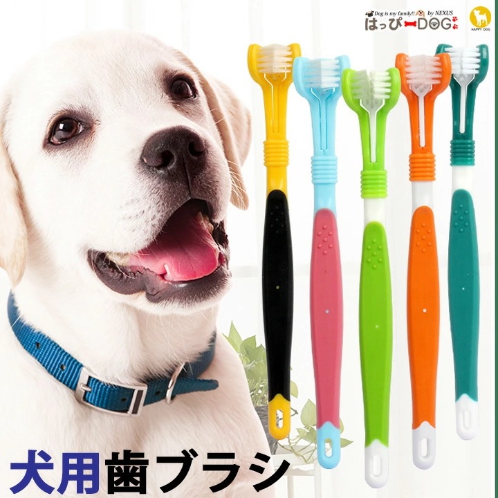 1110円 【税込】 ペットキン 犬 猫用 歯ブラシ2種類歯磨き粉 3点セット - 1110円 【税込】 ペットキン 犬 猫用 歯ブラシ2種類歯磨き粉 3点セット -