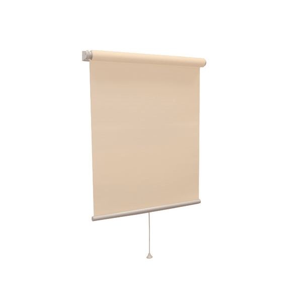 モダン ロールスクリーン (無地防炎 60cm×180cm アプリコット) 日本製 巻取りスピード調整機能付き 『ティオリオ』