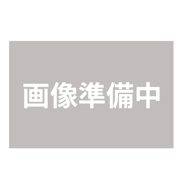 ダイソン ドライヤー 大風量 速乾 ヘアドライヤー Supersonic r HD17CPATO セラミックパティーナ/トパーズ Dyson
