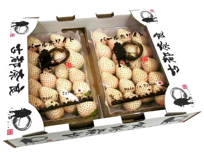 =白いちご パールホワイト= 2pc (1pcあたり約280g) 産地厳選 予約 1月以降