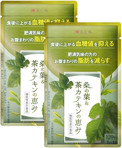 和漢の森 桑の葉＆茶カテキンの恵み 1袋 120粒 血糖値上昇を抑える 機能性表示食品 薬剤師監修 カテキン 錠剤 (2袋)